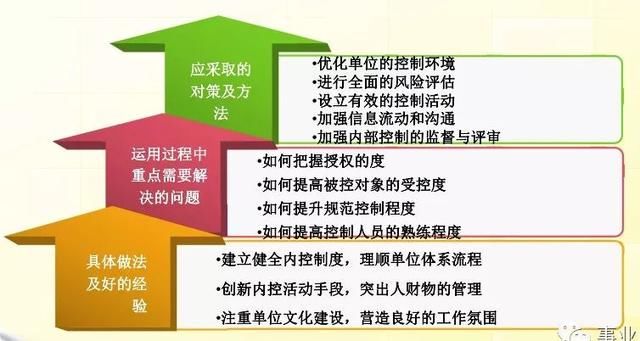 新澳门今晚平特一肖，构建解答解释落实的策略与方法